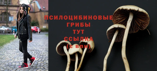 кокс Заволжье
