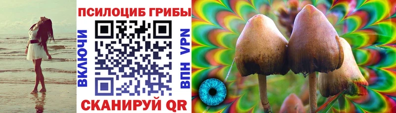 Купить  Городовиковск  Псилоцибиновые грибы GOLDEN TEACHER 